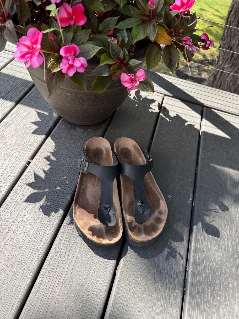 Papillio Black T-Strap Thong Sandals with Cork Footbed